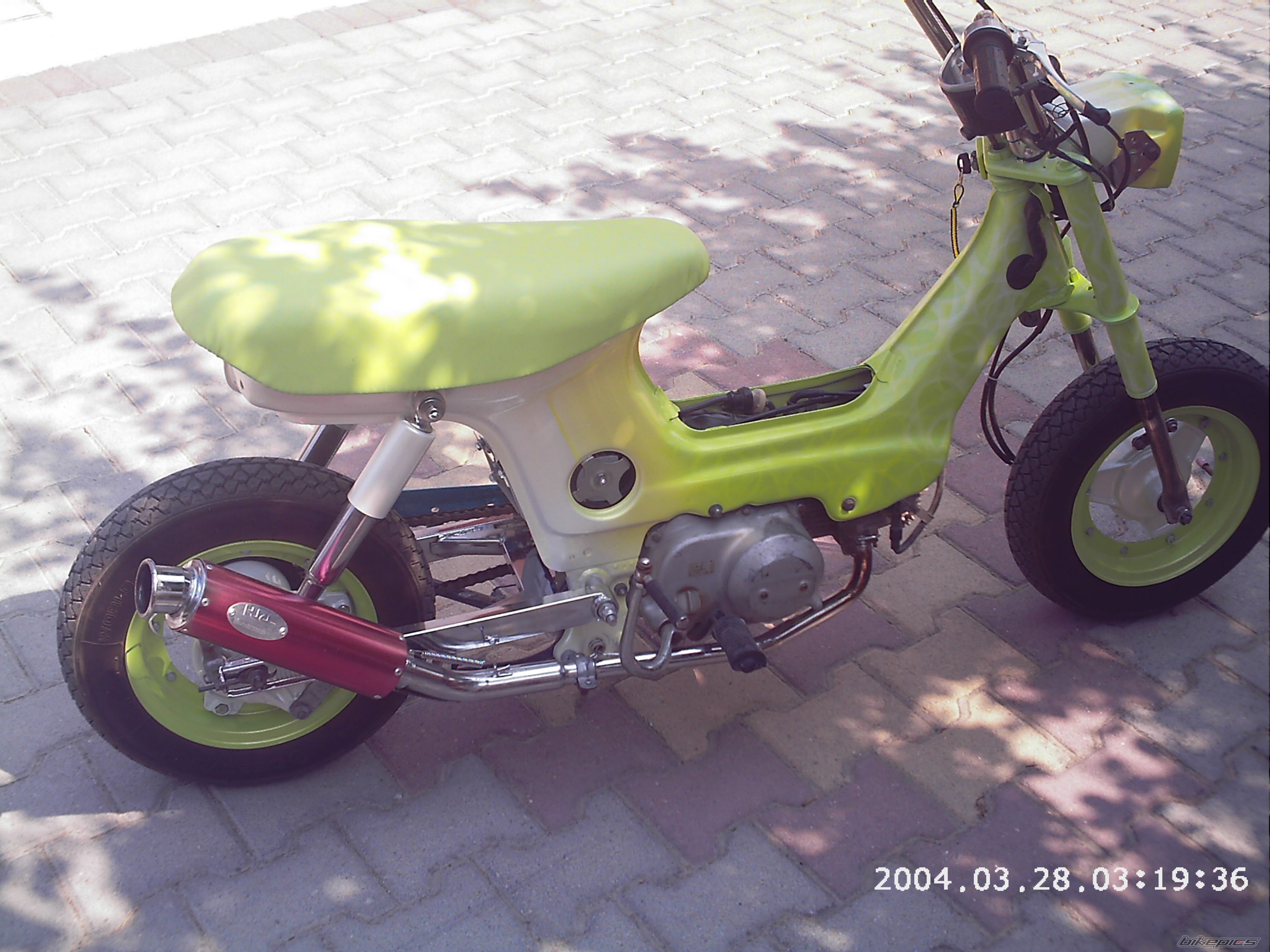 Photo 1401487