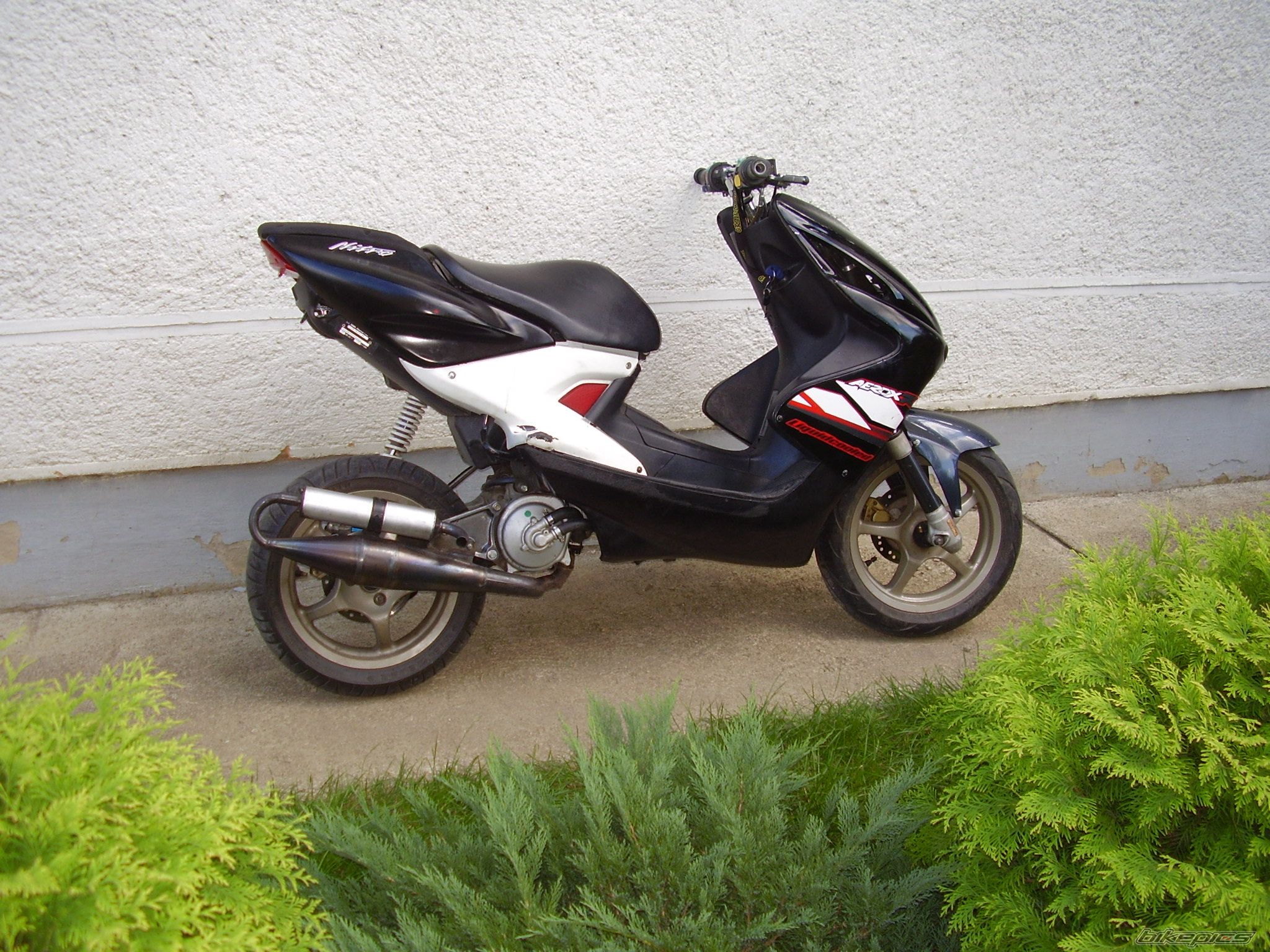 Photo 1401488