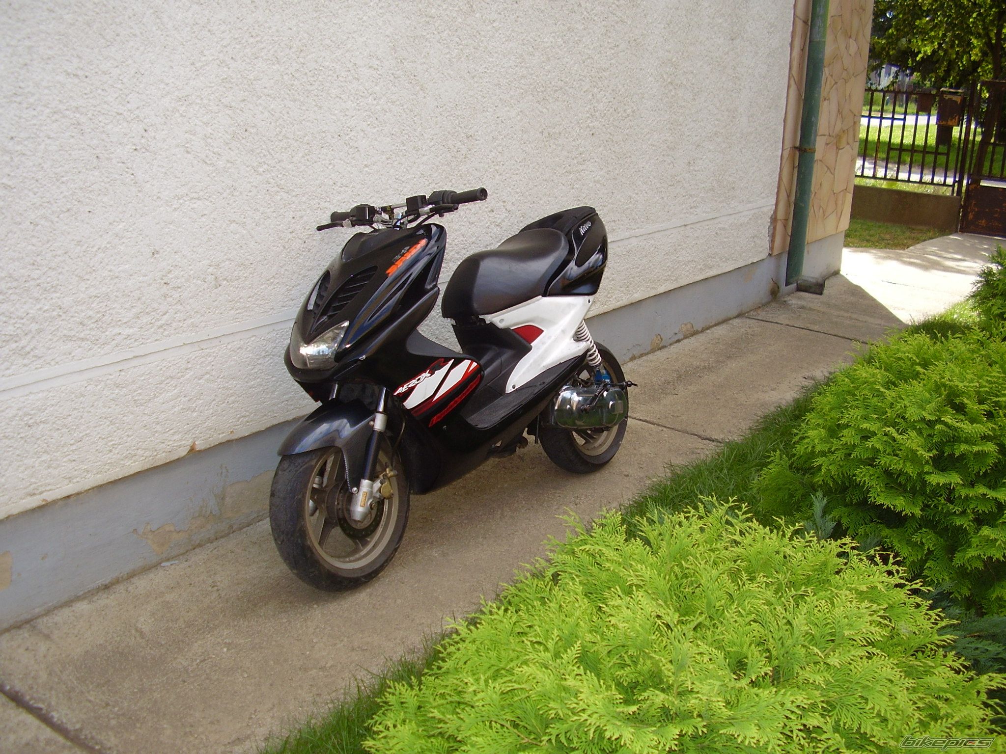 Photo 1401490