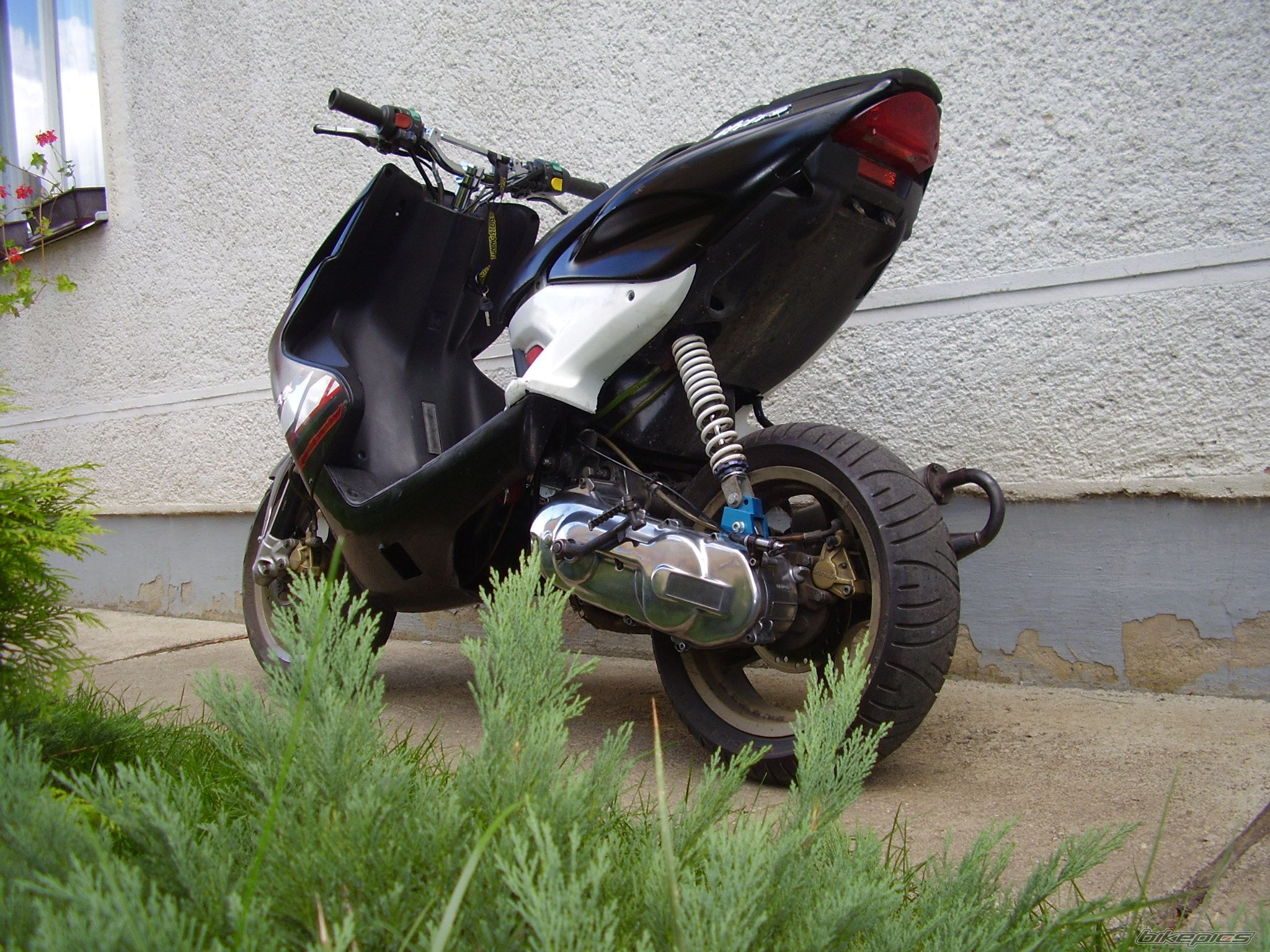 Photo 1401491