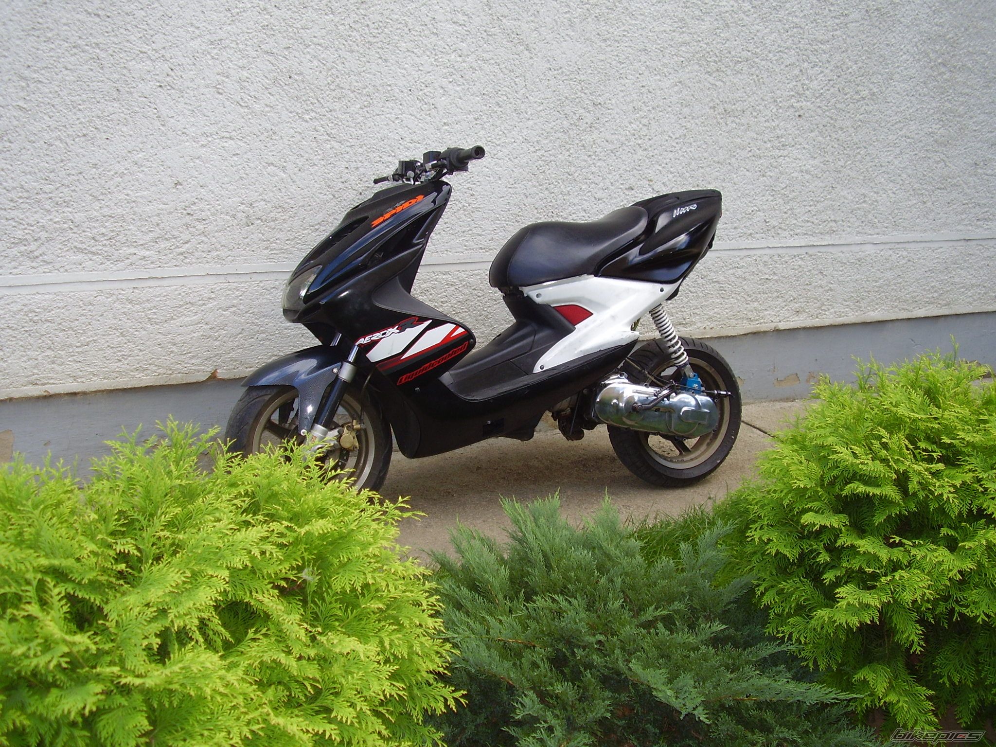 Photo 1401492