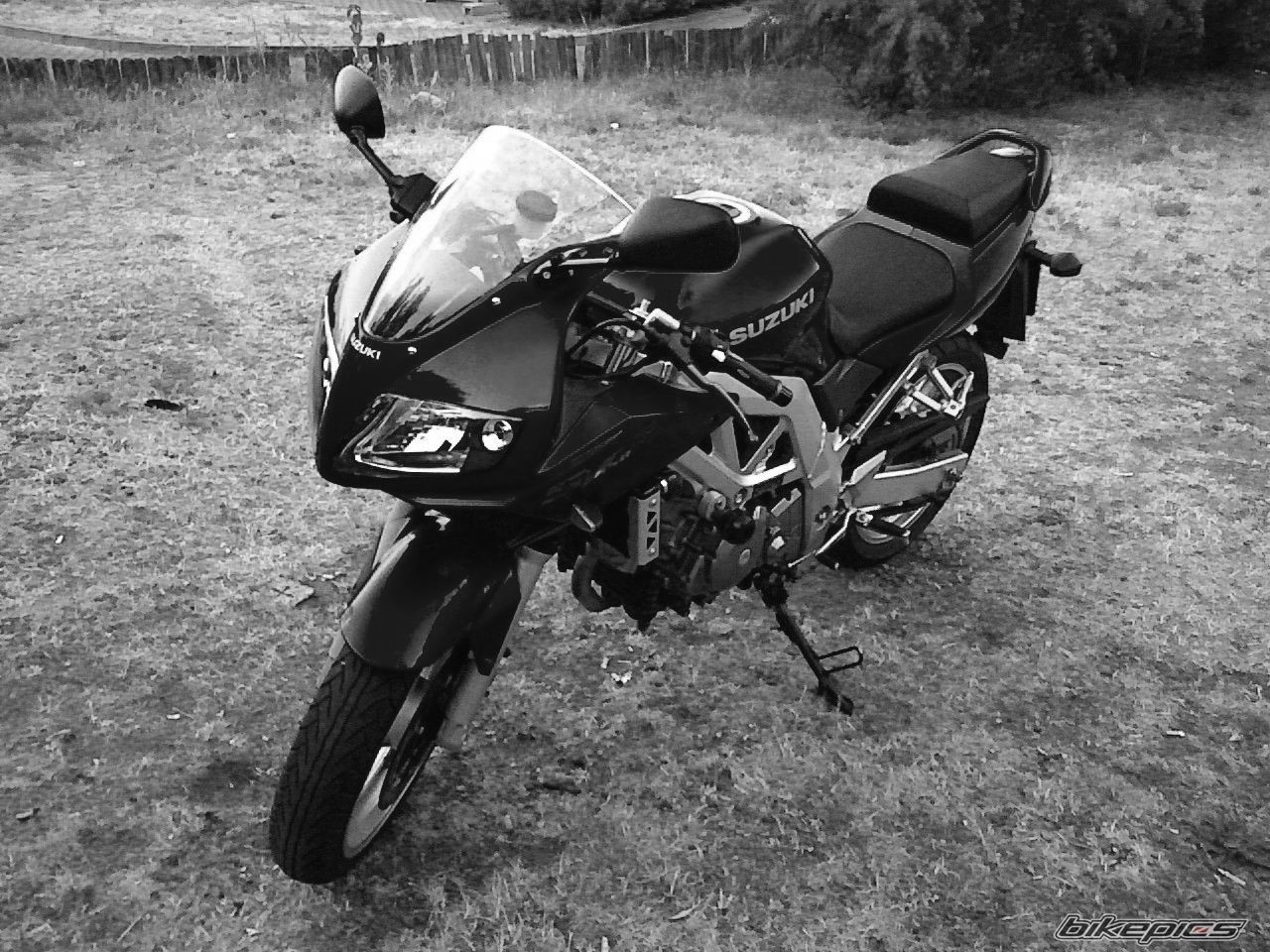 Photo 1401495