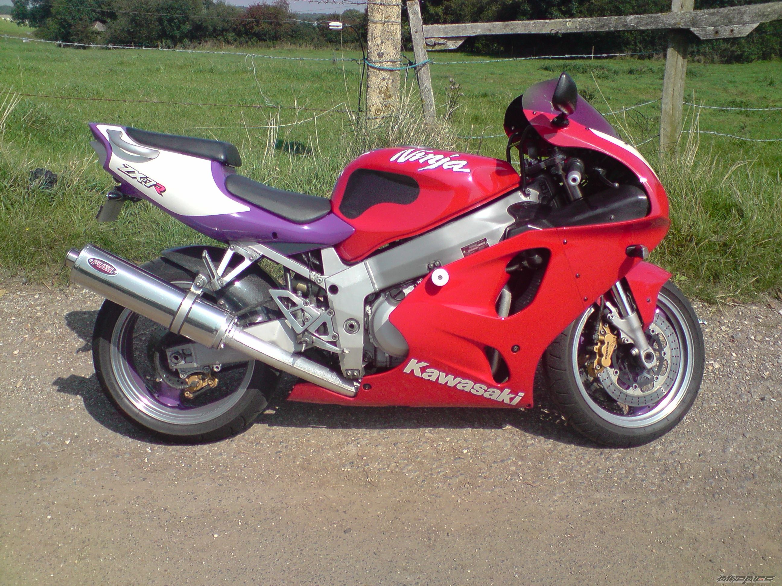 Photo 1401527