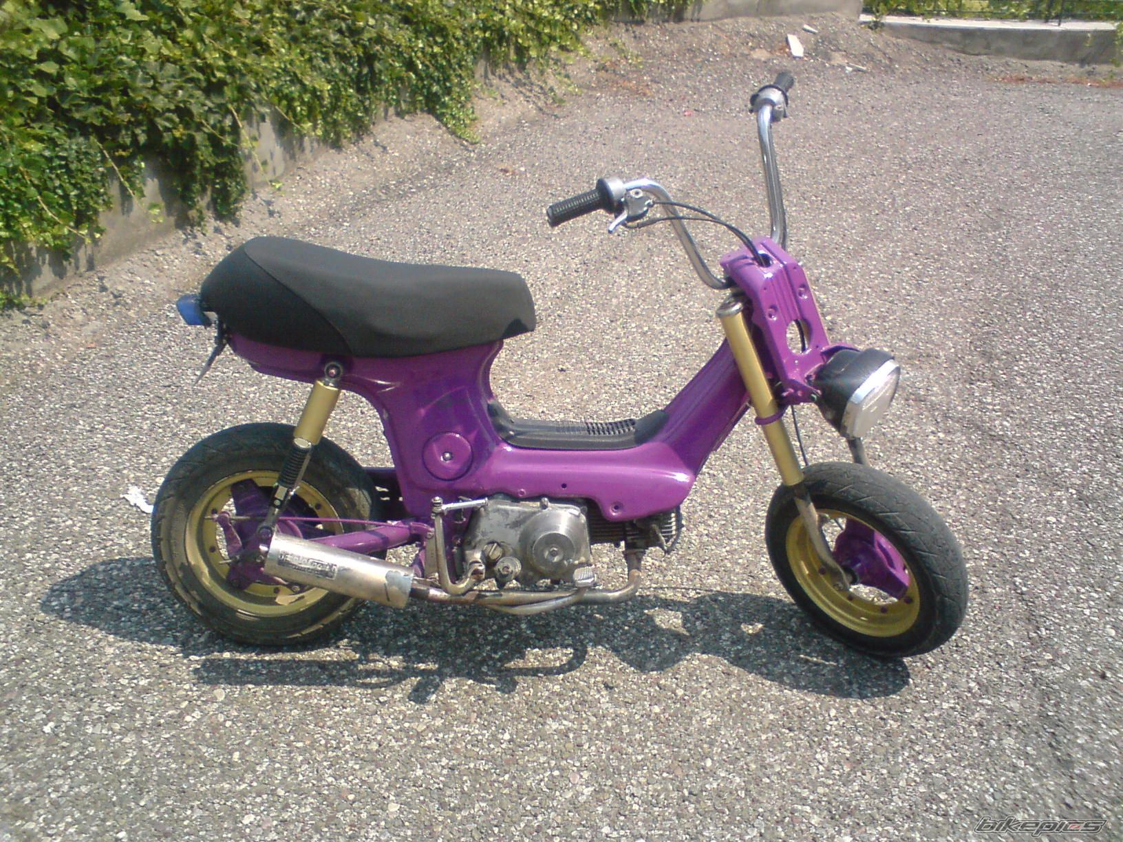 Photo 1401549