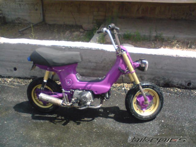 Photo 1401550