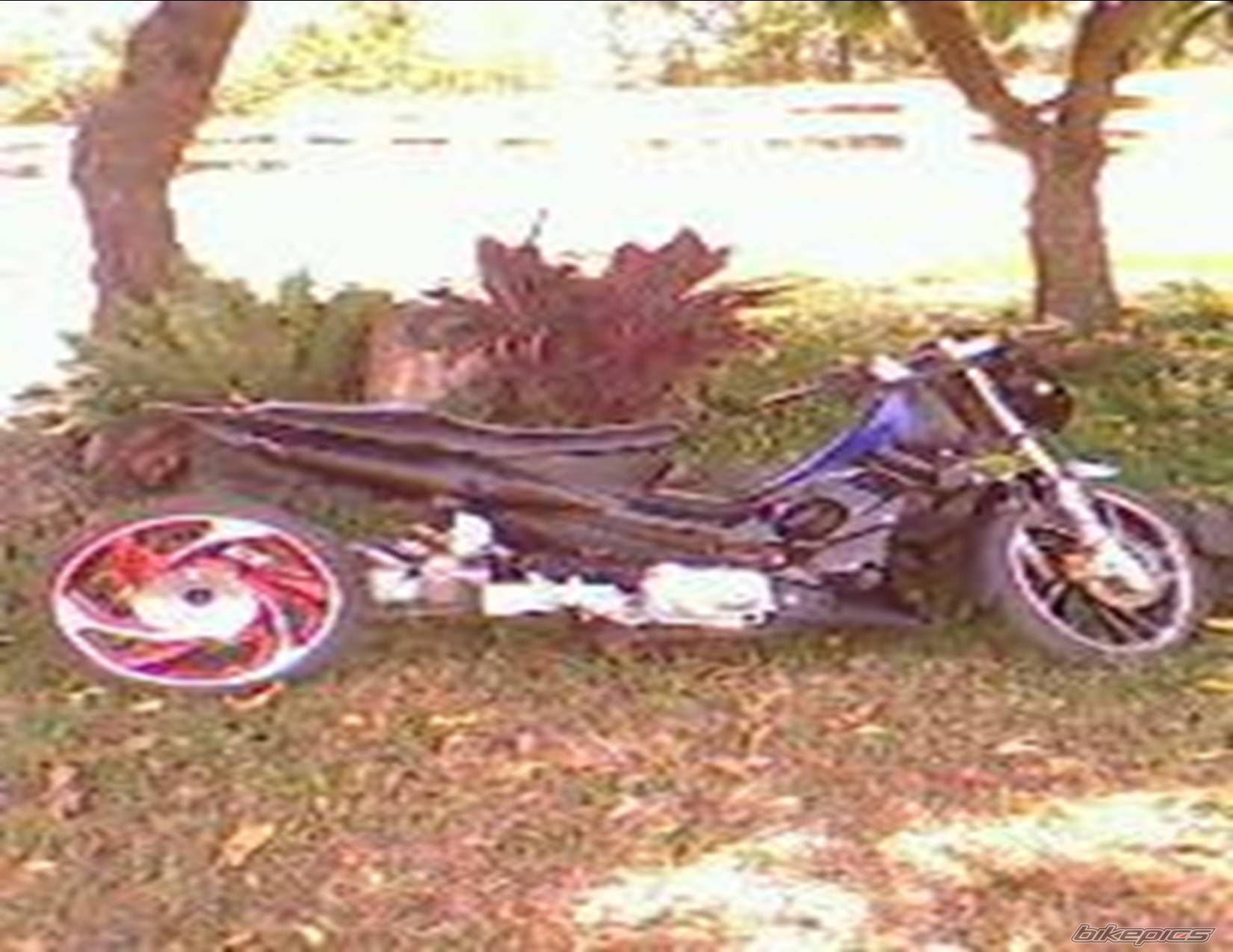 Photo 1401565