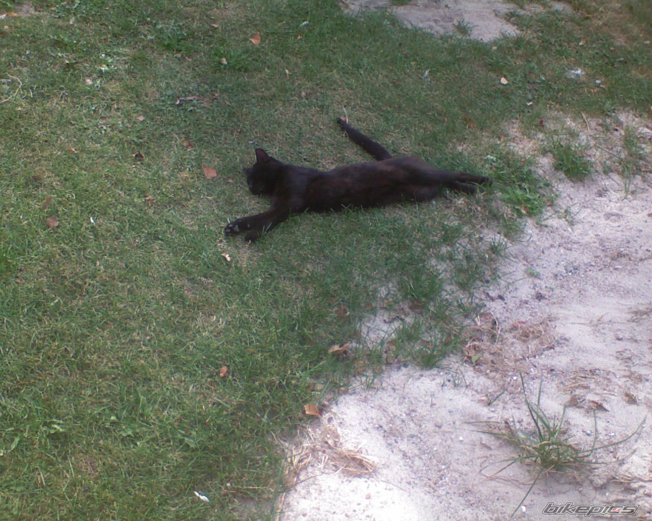 Photo 1401583