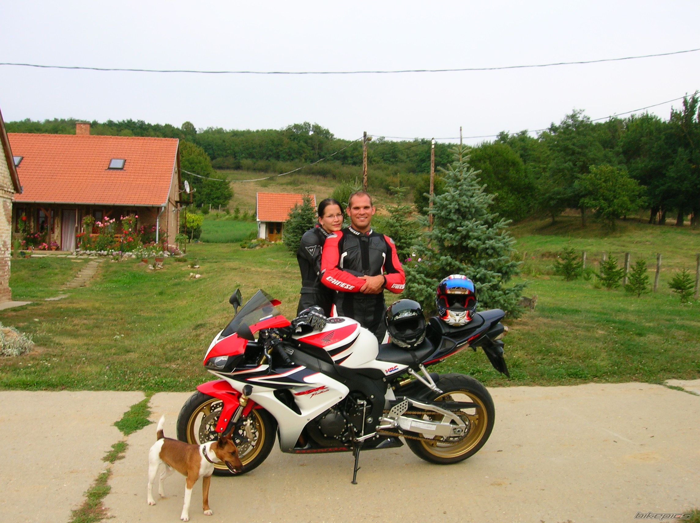 Photo 1401594
