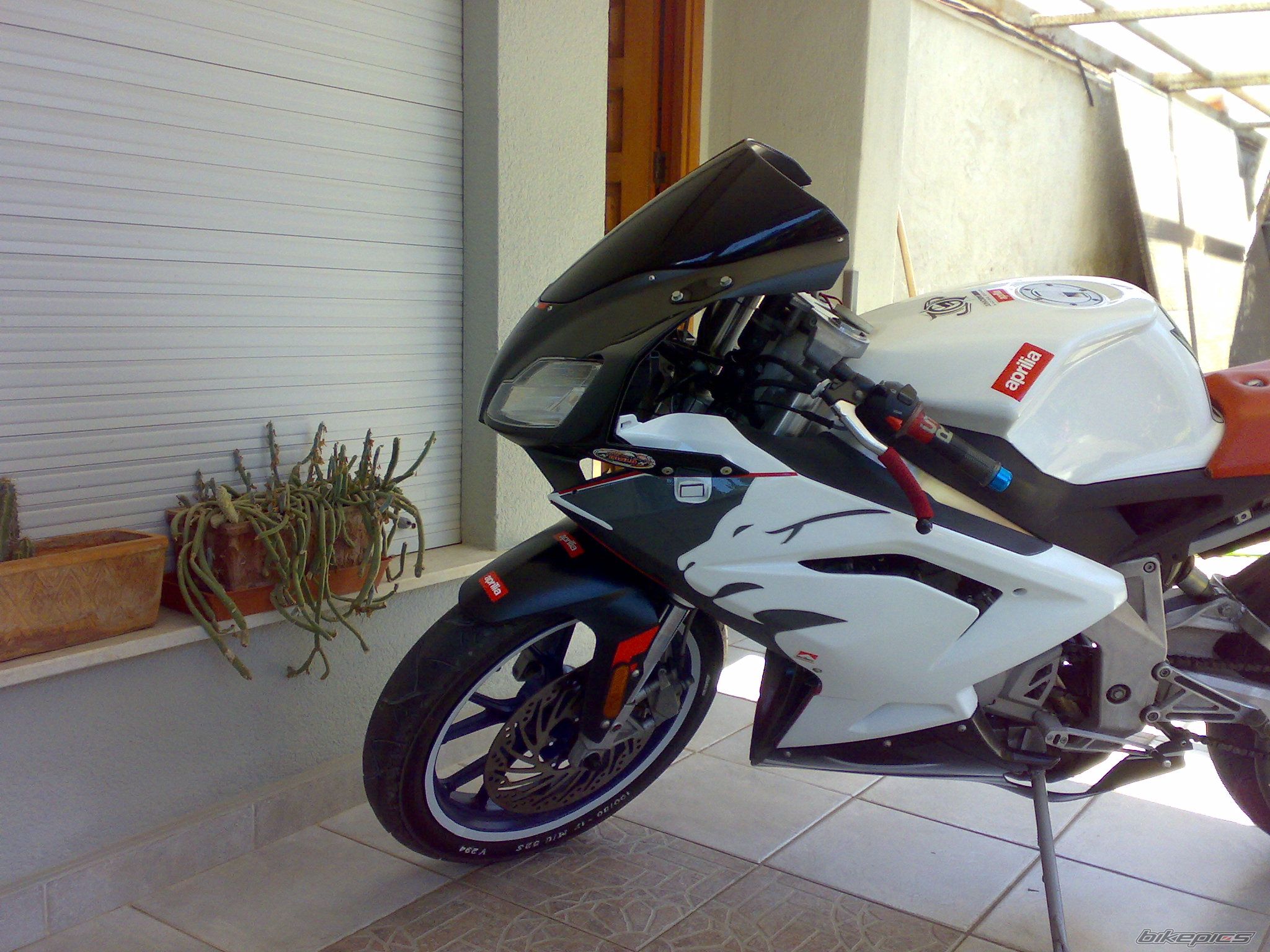 Photo 1401675