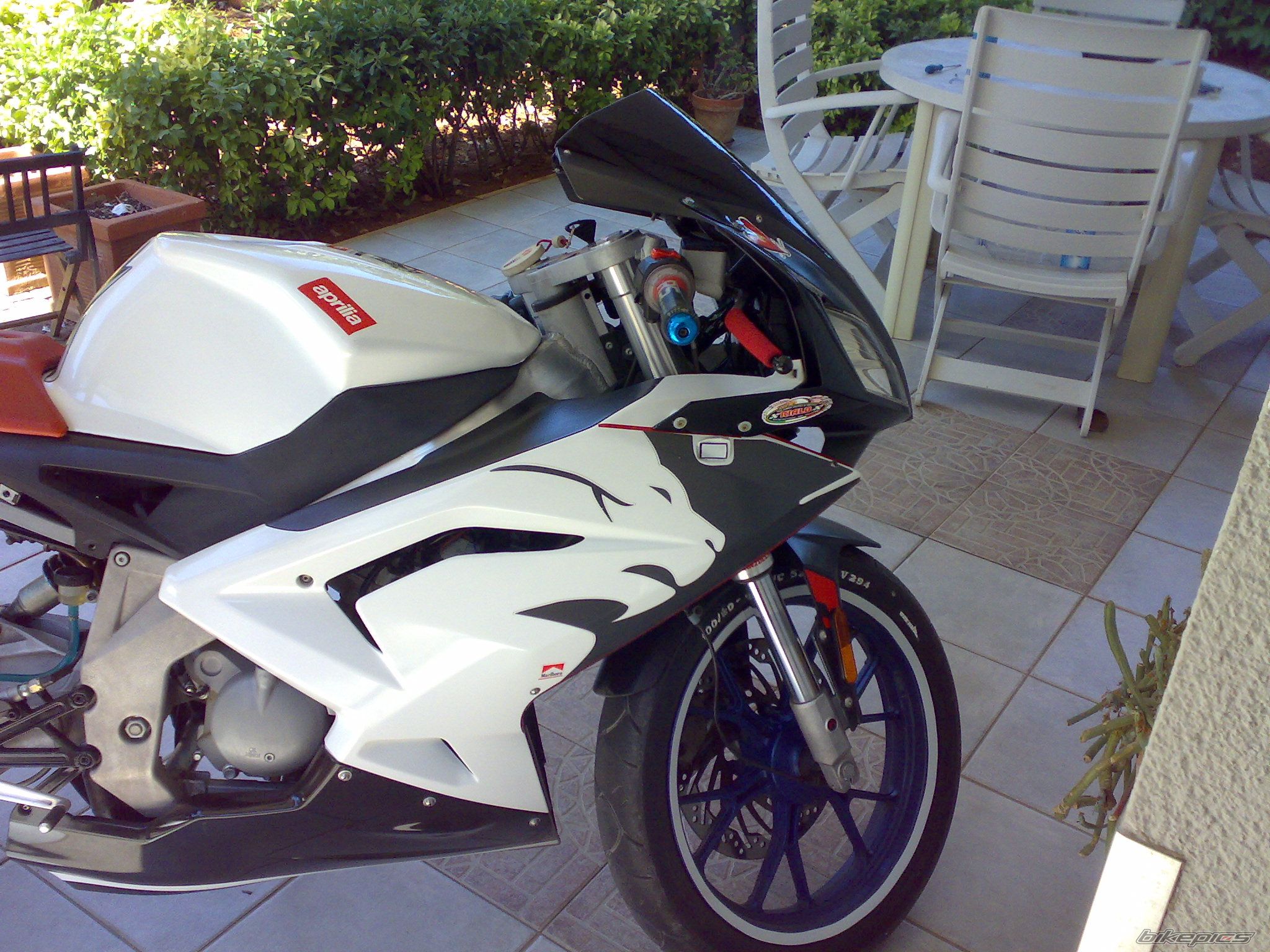 Photo 1401678