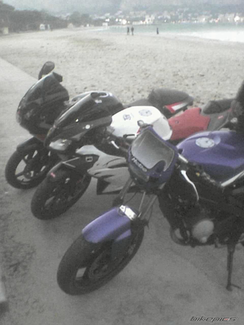 Photo 1401683
