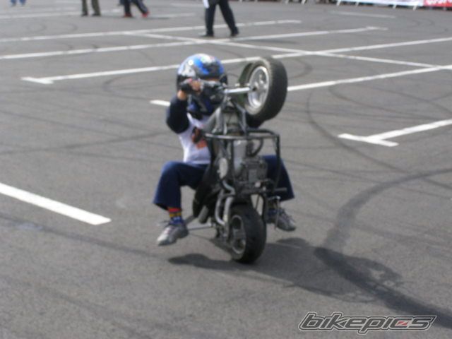 Photo 1401835
