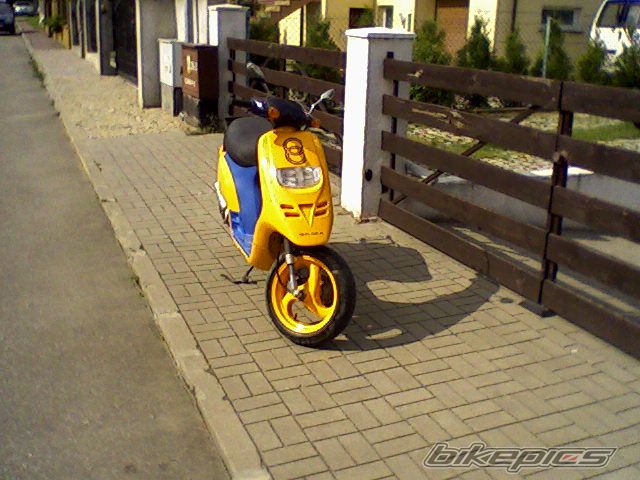 Photo 1401902