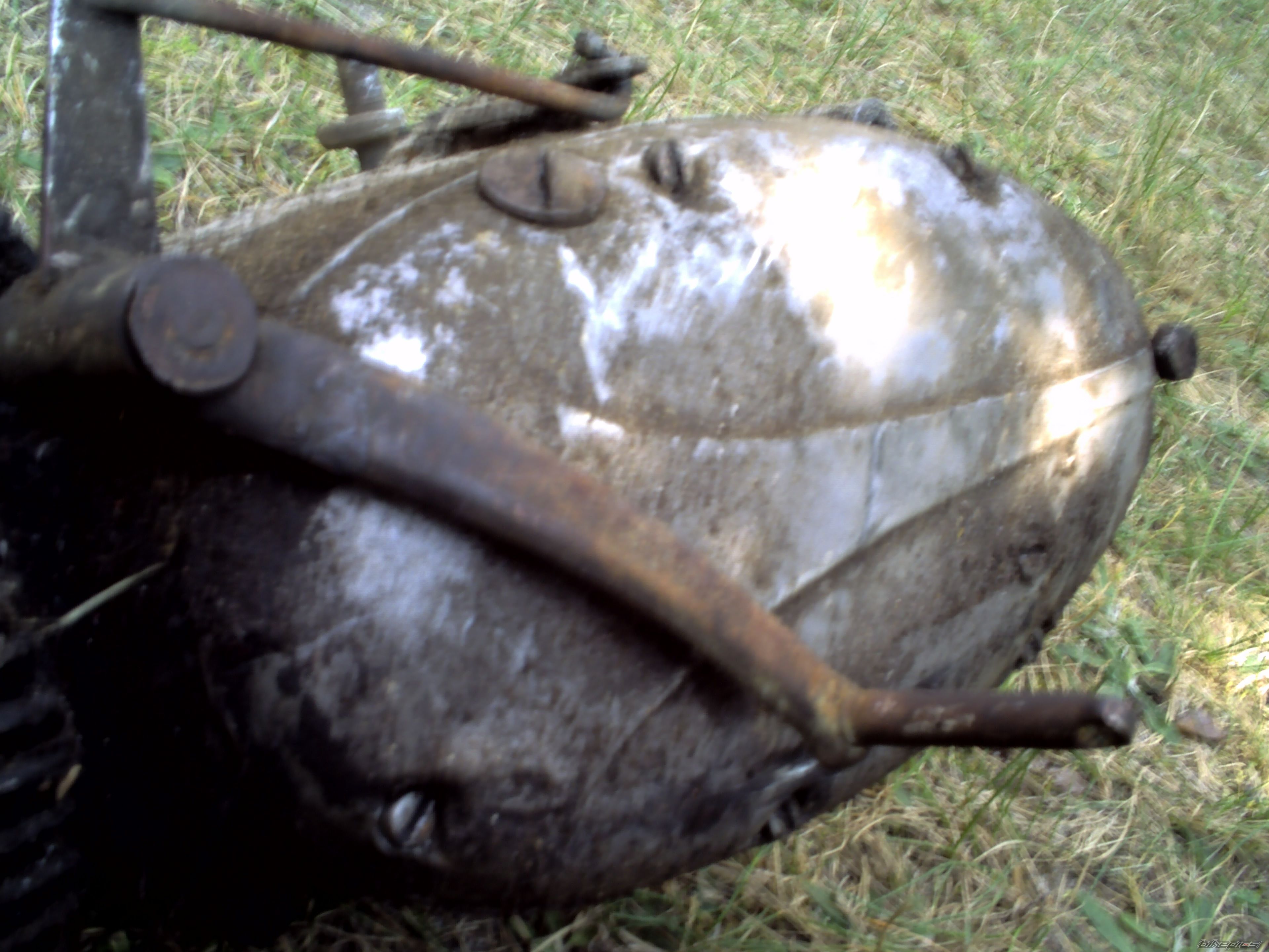 Photo 1401998