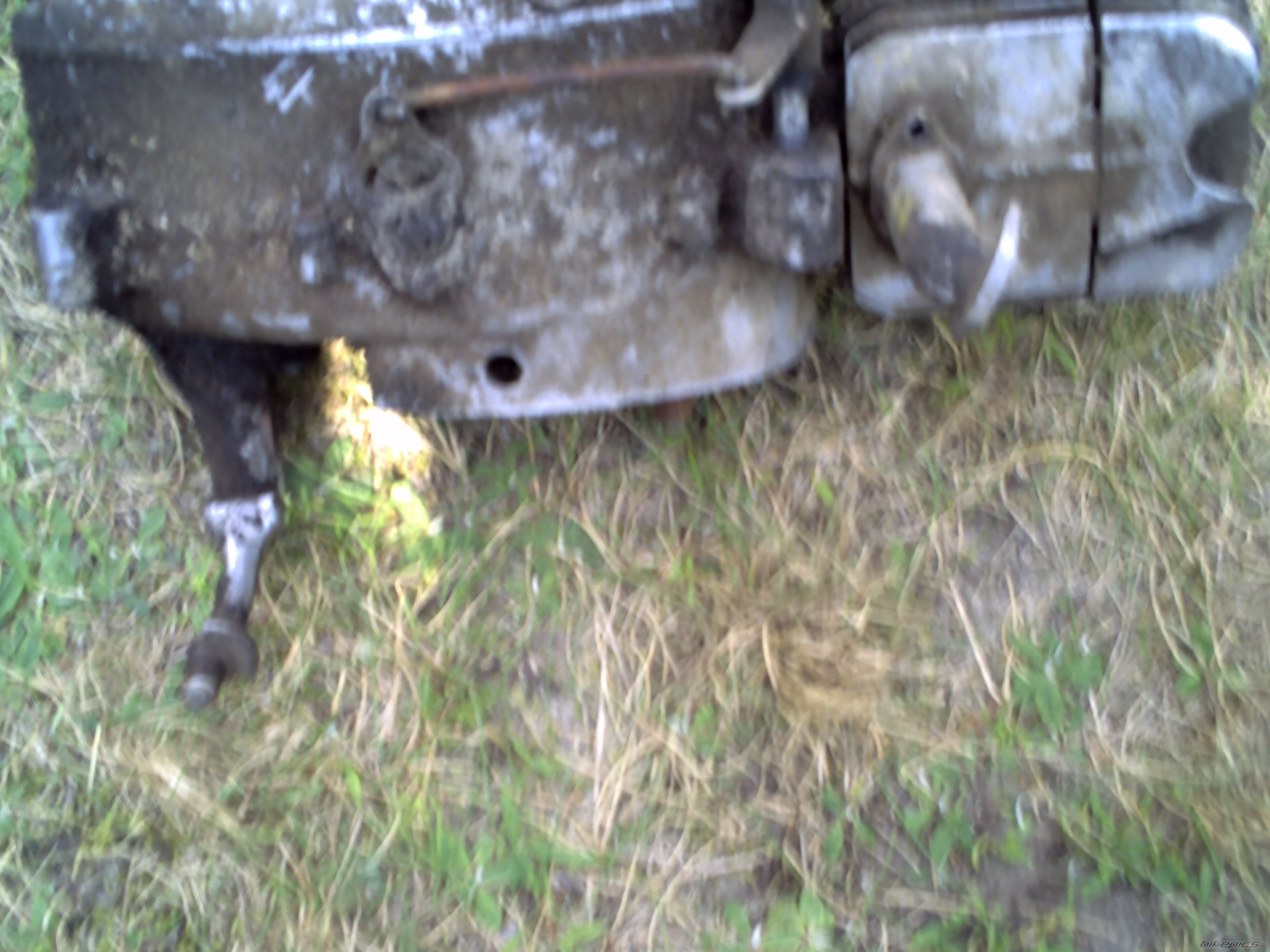 Photo 1402002