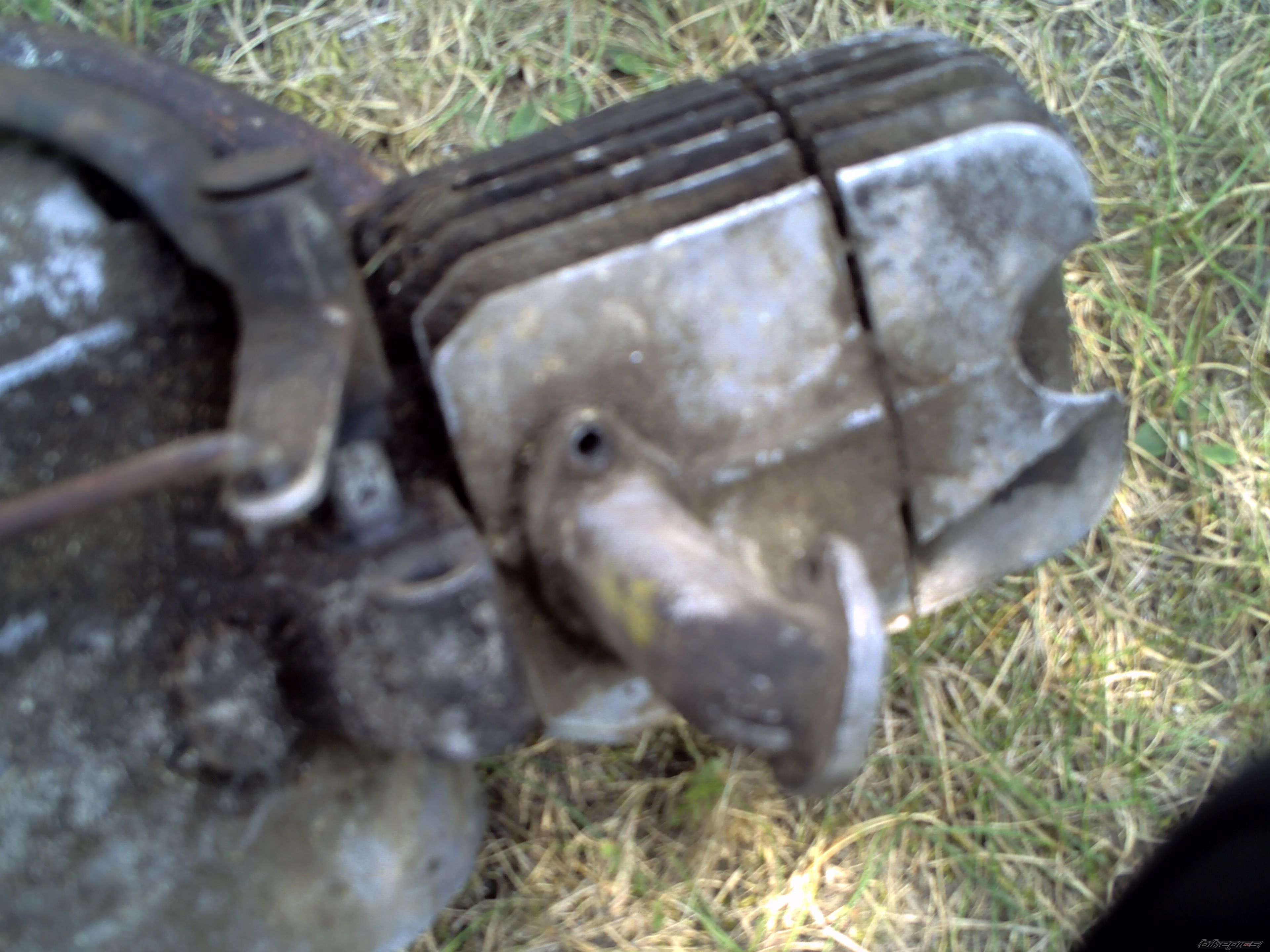 Photo 1402004