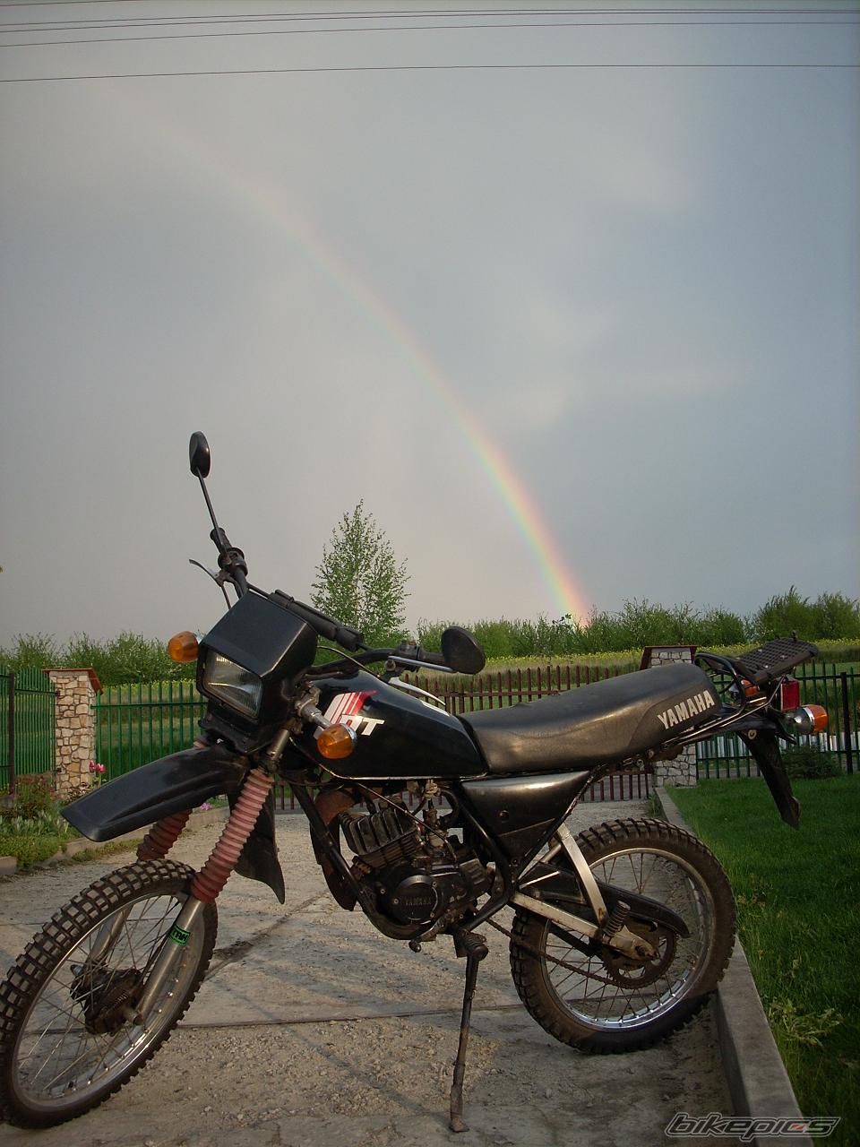 Photo 1402045