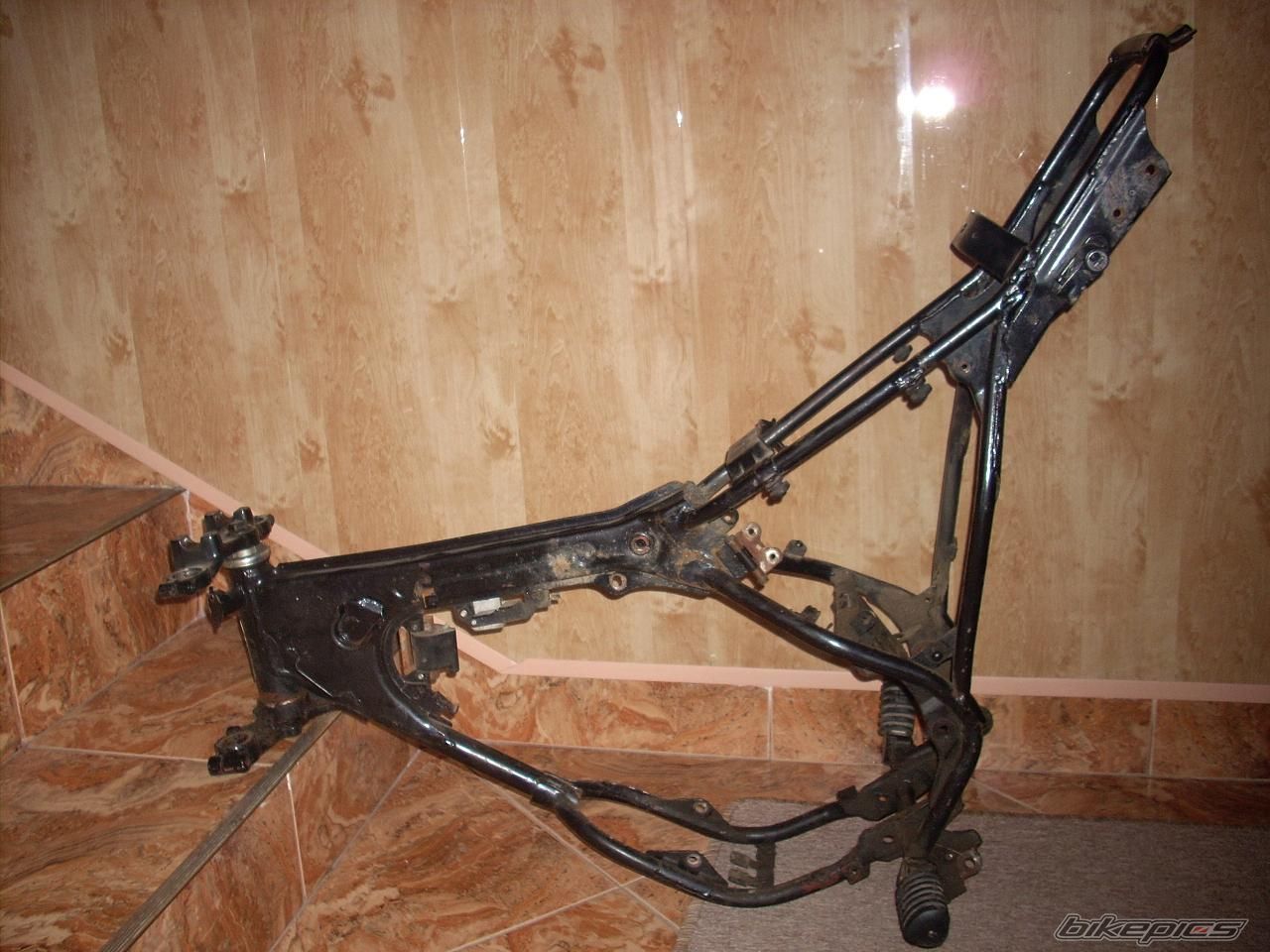 Photo 1402055