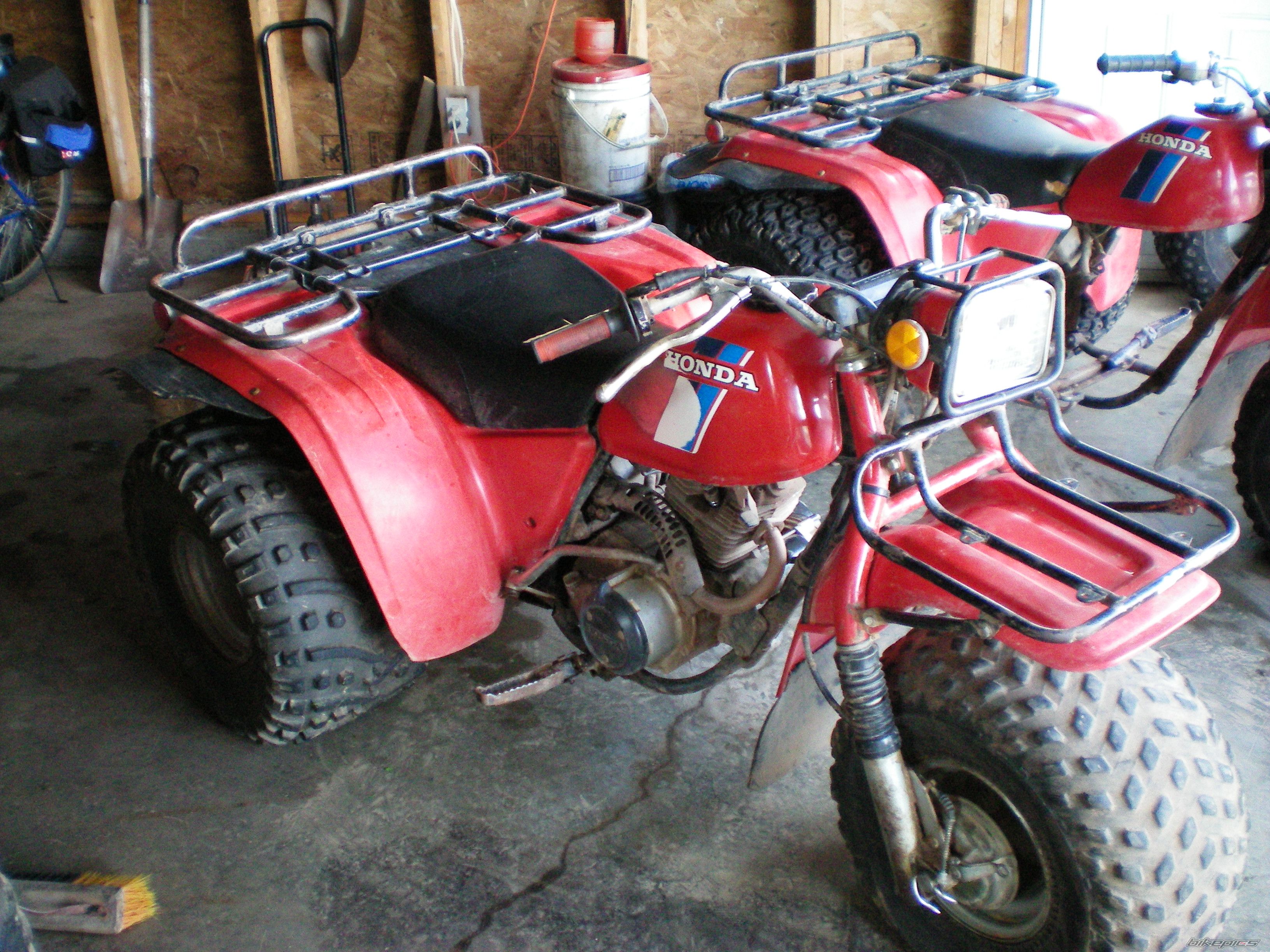 Photo 1402115