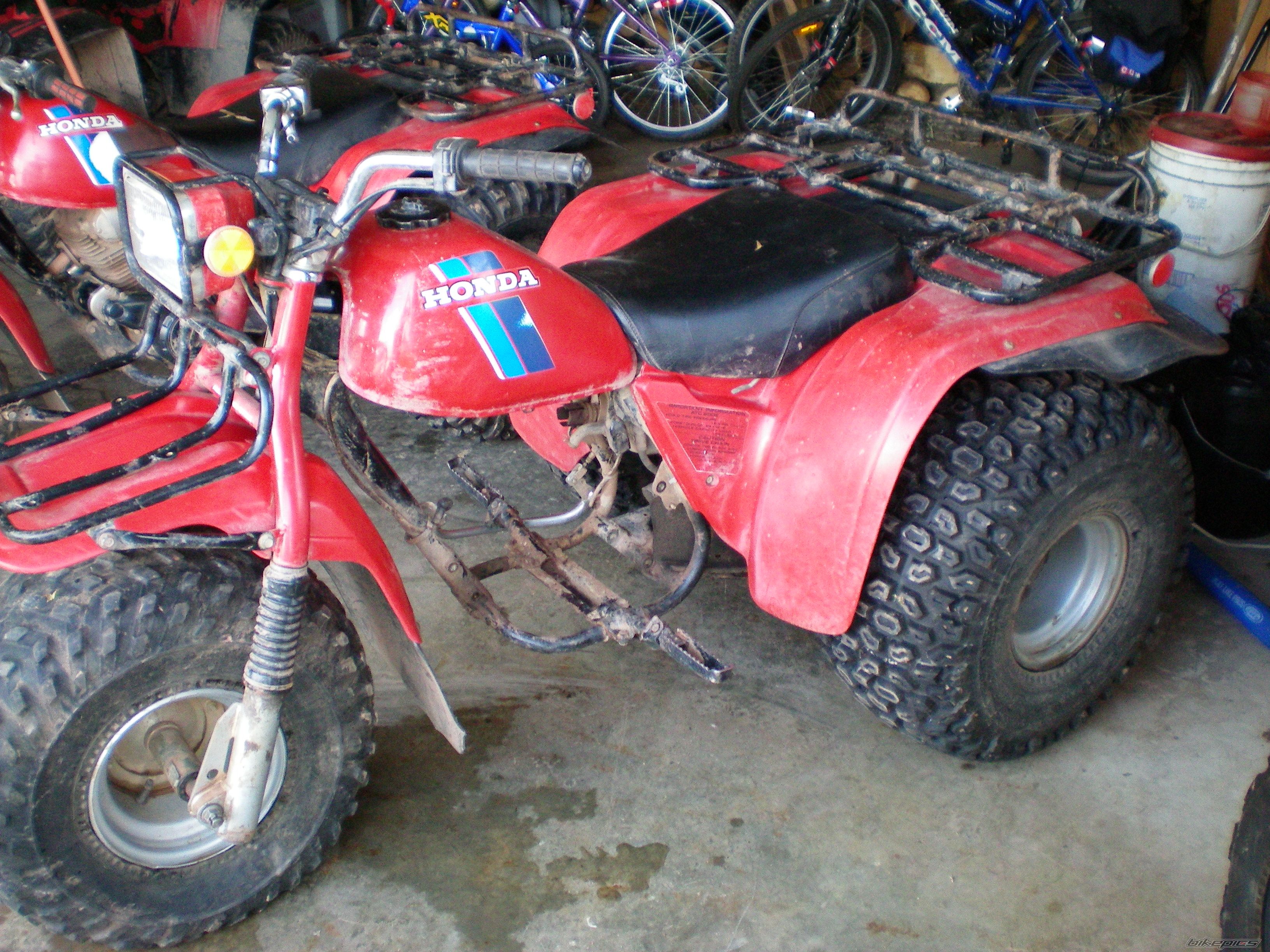 Photo 1402122