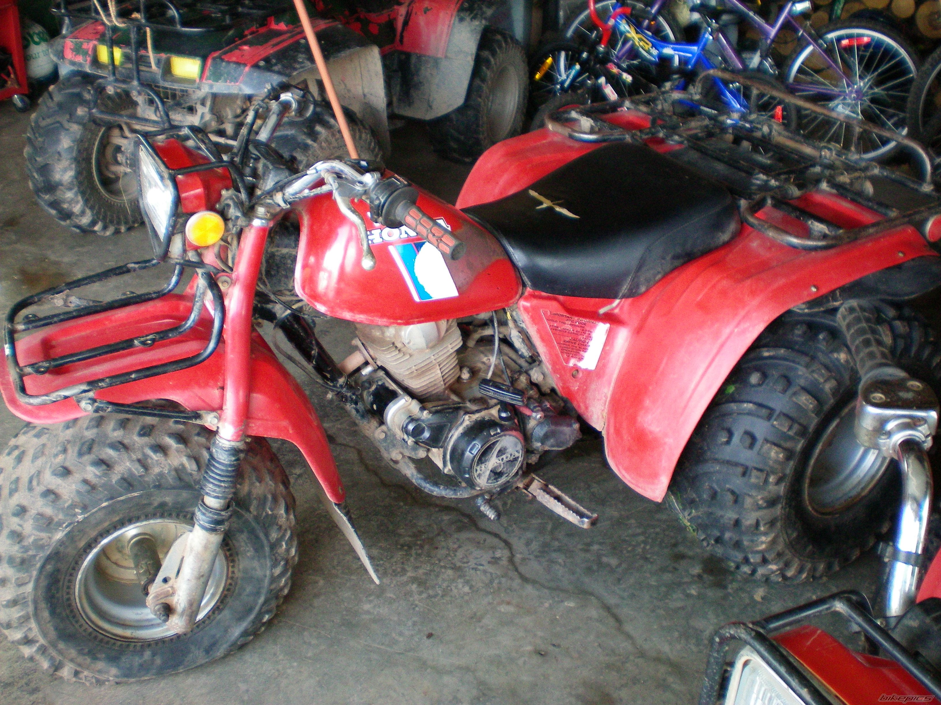Photo 1402126
