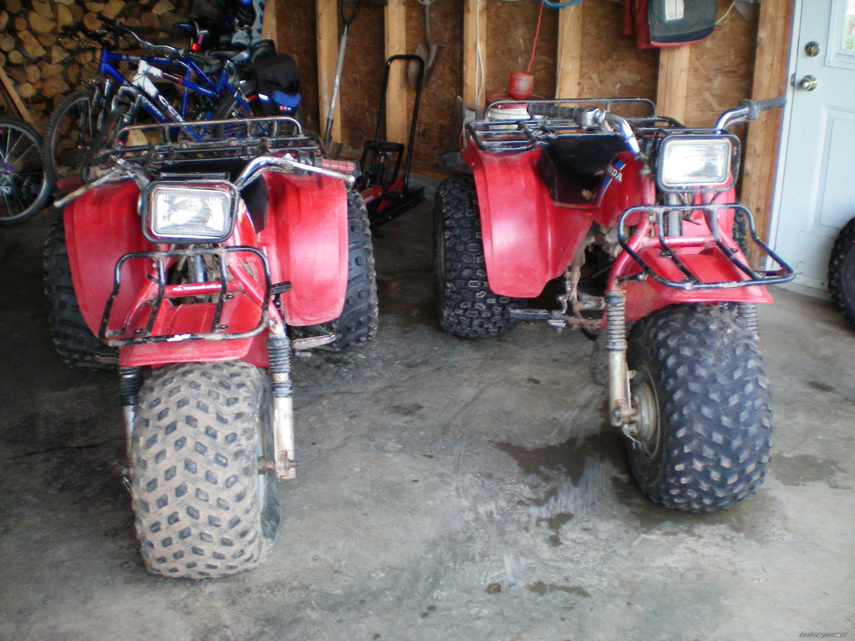 Photo 1402131
