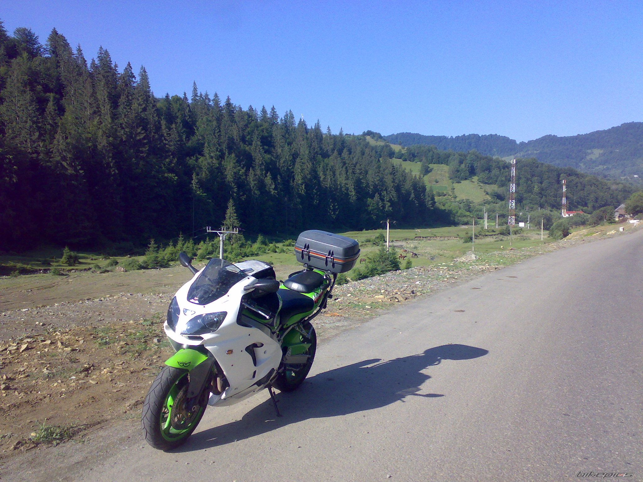 Photo 1402242