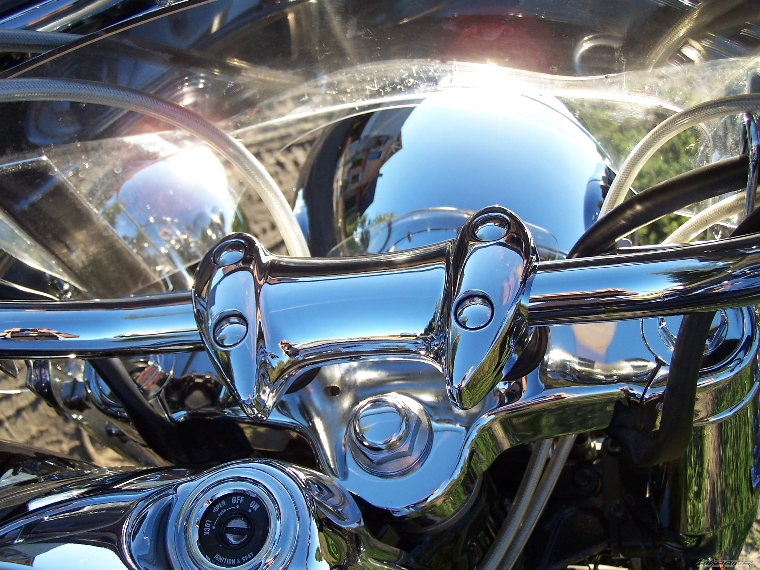 Photo 1402271
