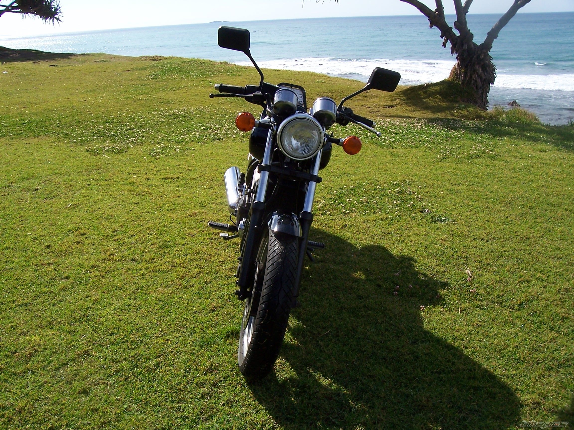 Photo 1402333