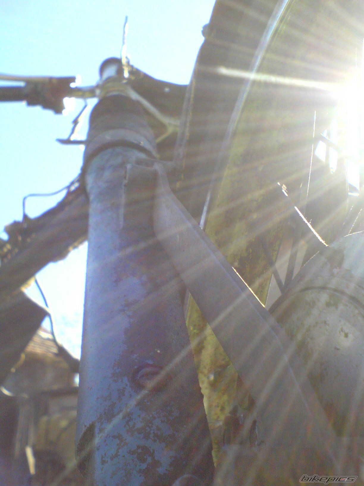 Bike Photo 1402534