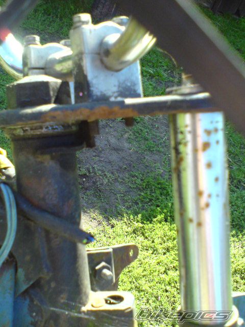 Bike Photo 1402541