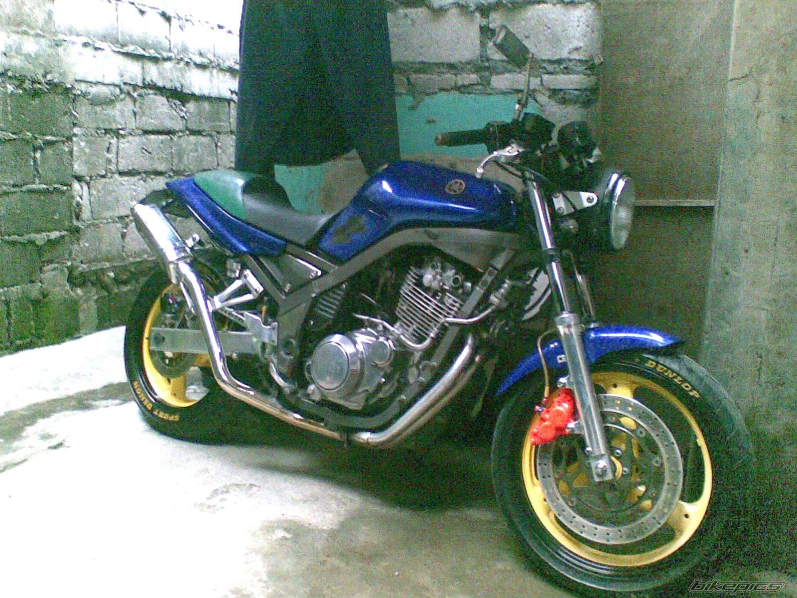 Photo 1402543