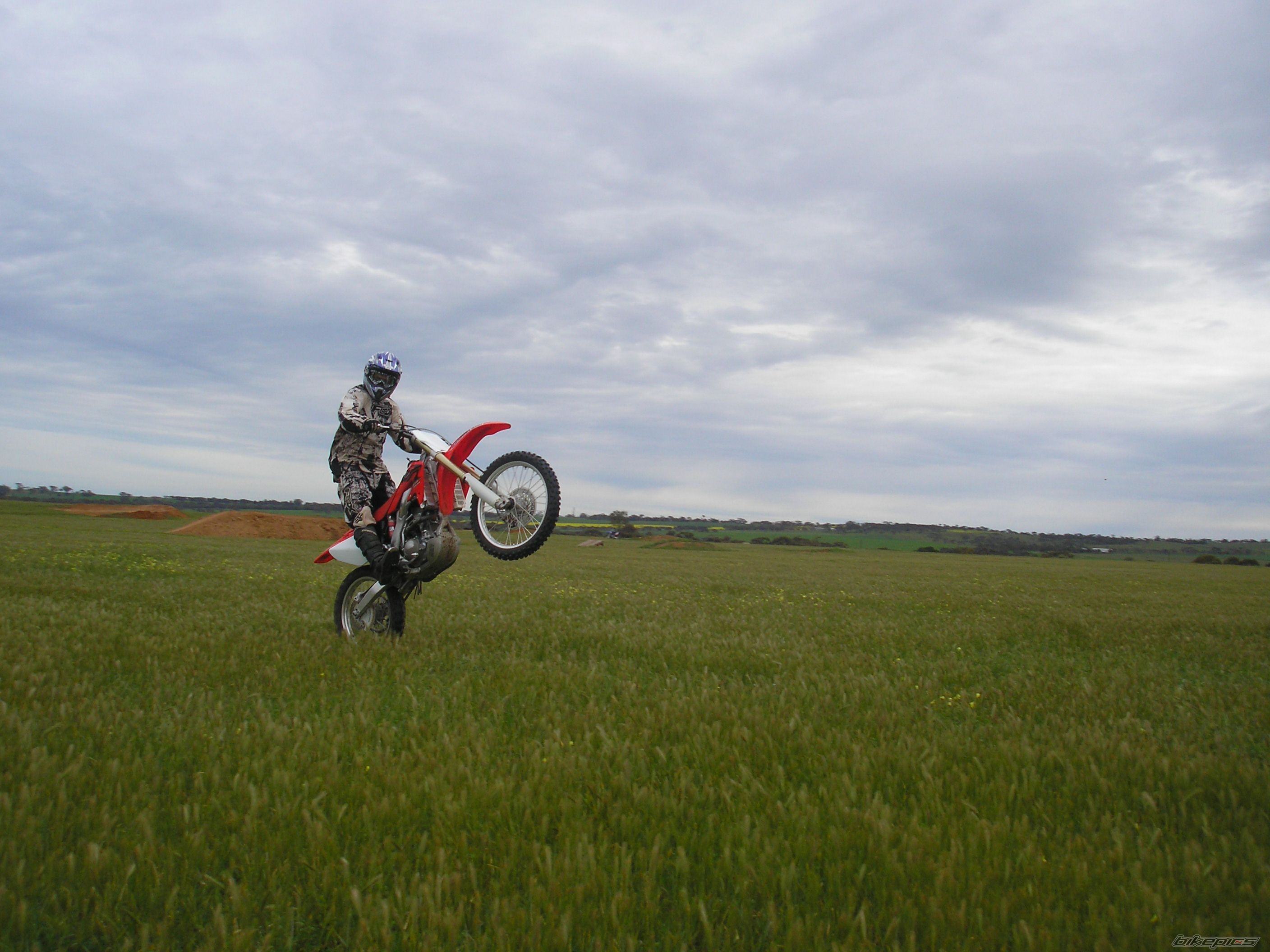 Photo 1402635
