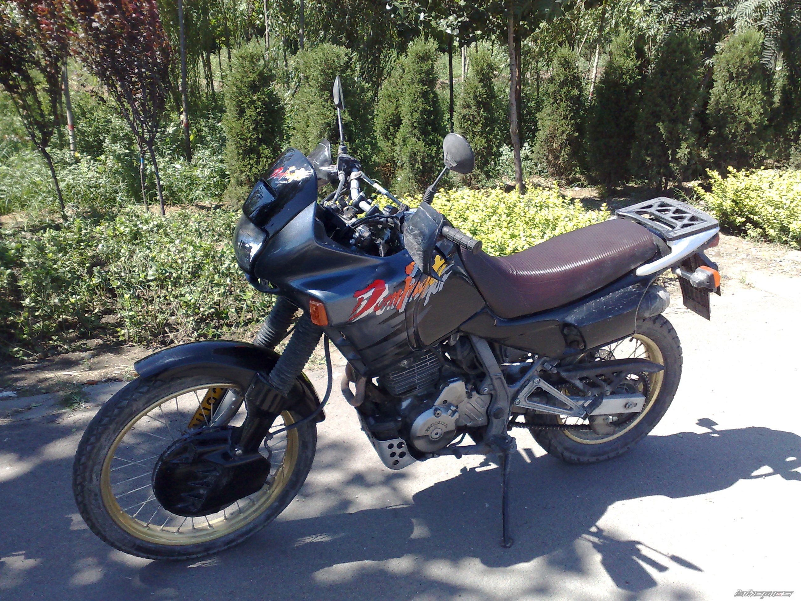 Photo 1402793