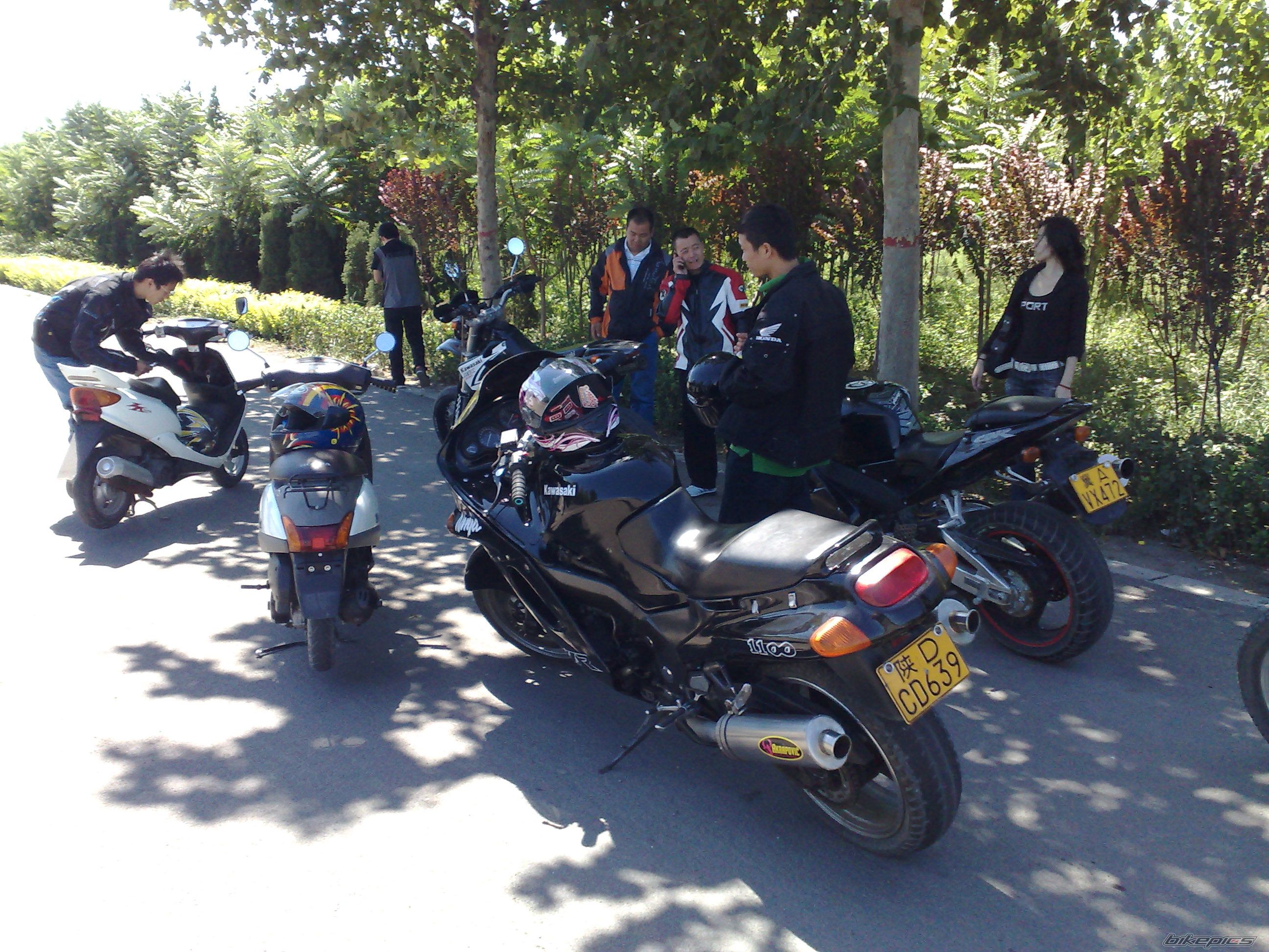 Photo 1402796