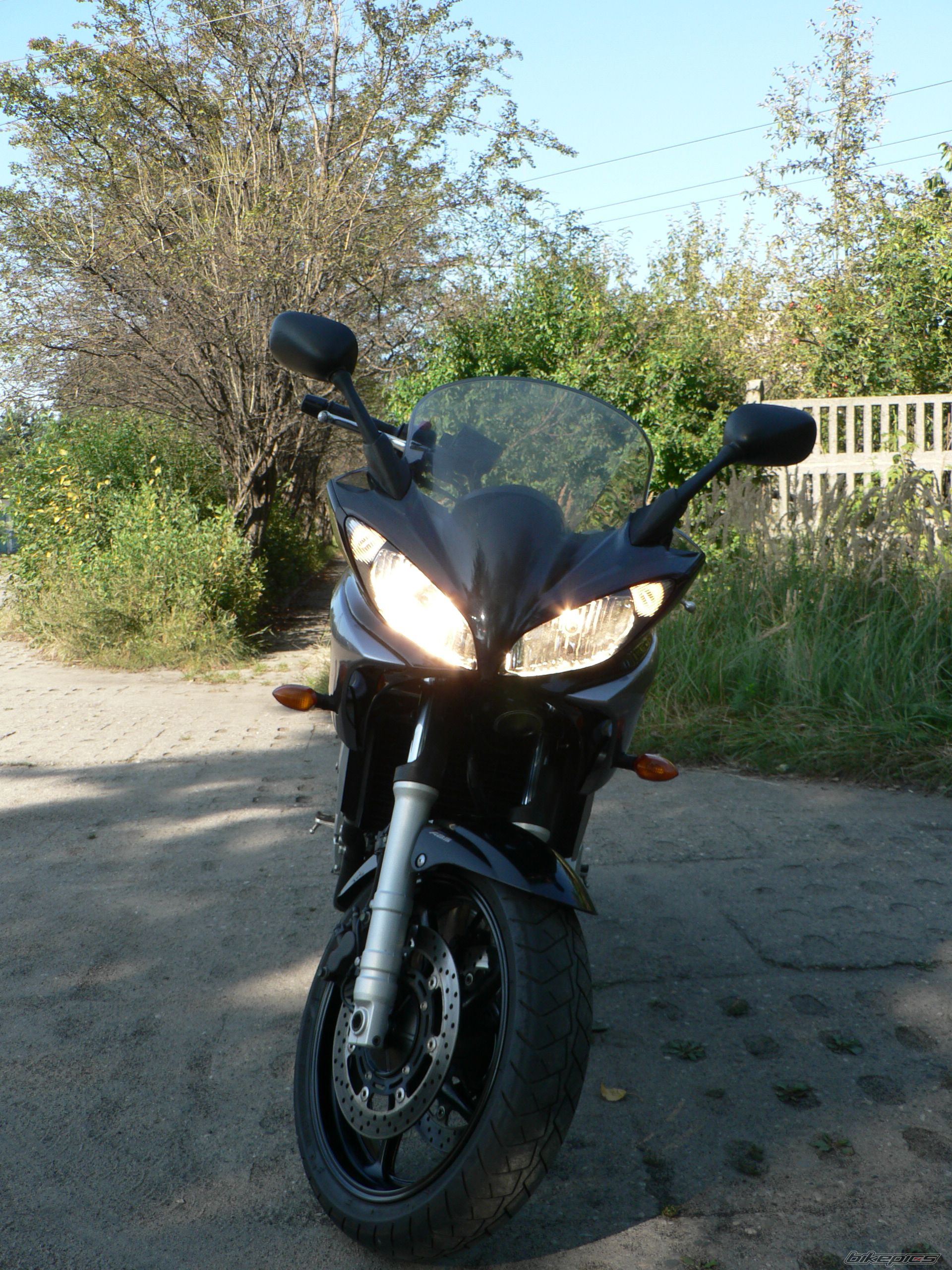 Photo 1402798