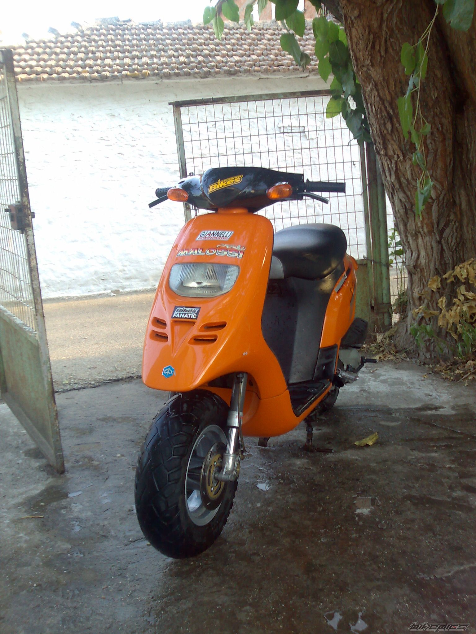 Photo 1402805