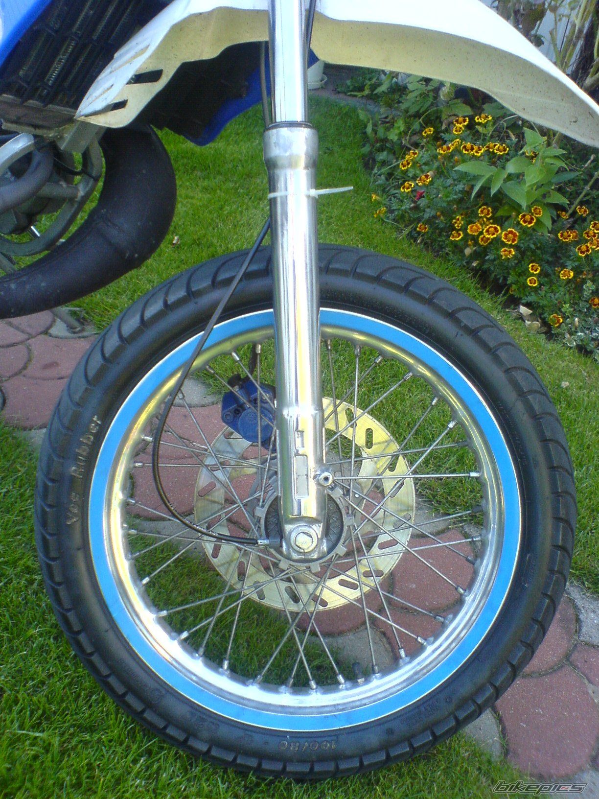 Photo 1402809