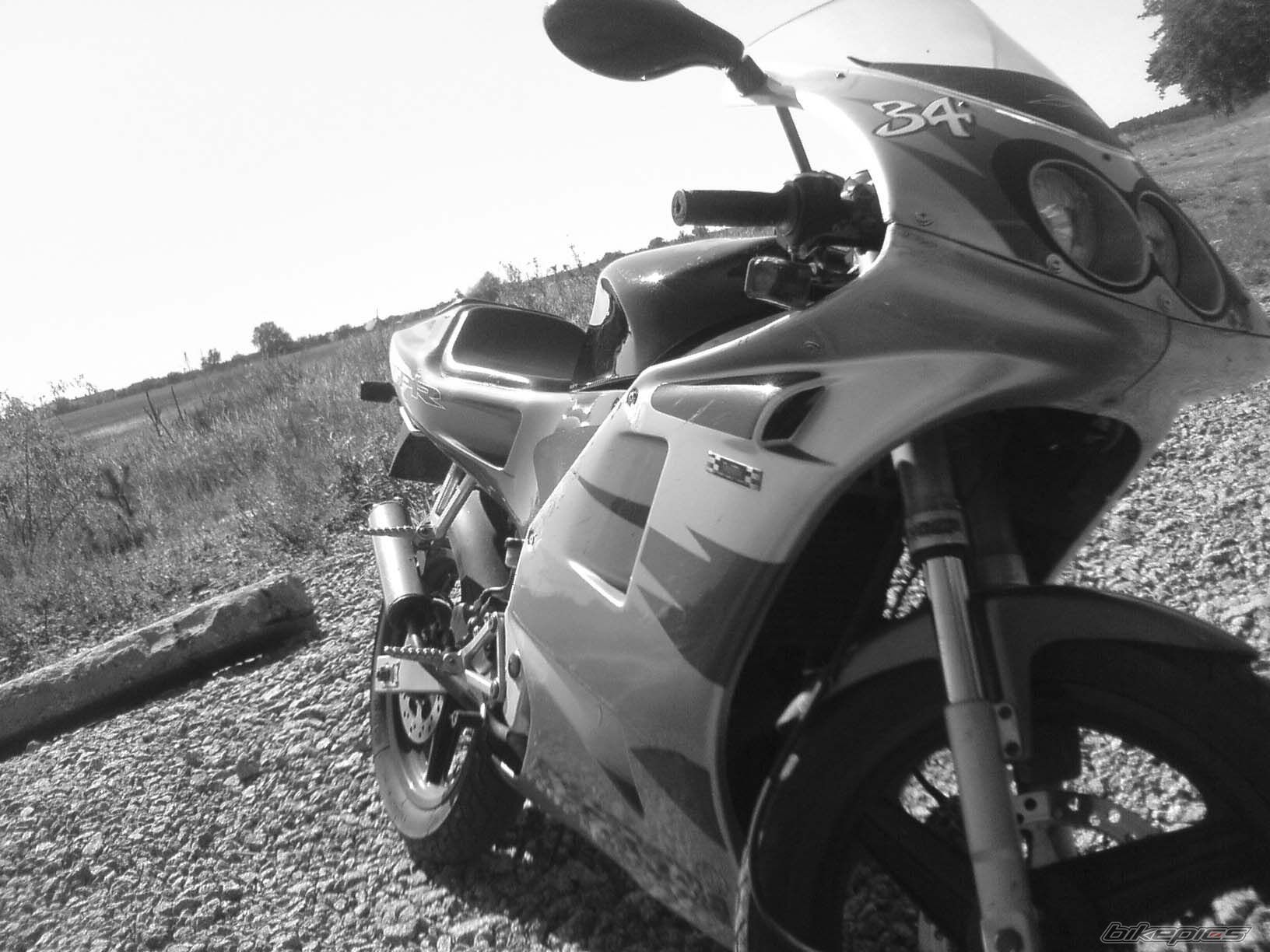 Photo 1402839