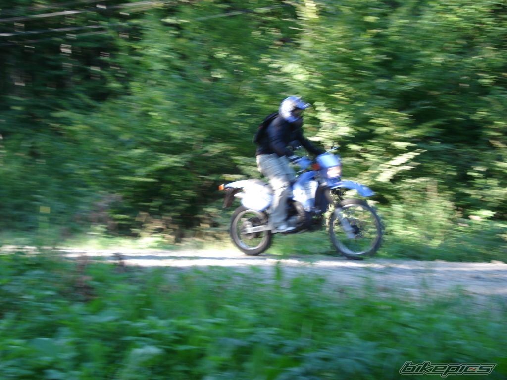Photo 1402926