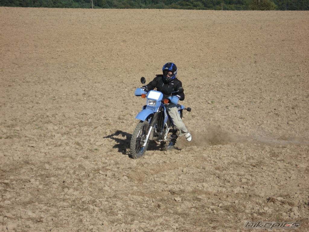 Photo 1402928