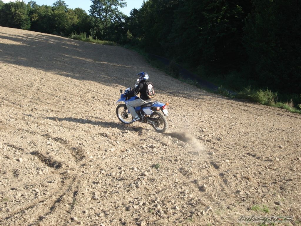 Photo 1402932