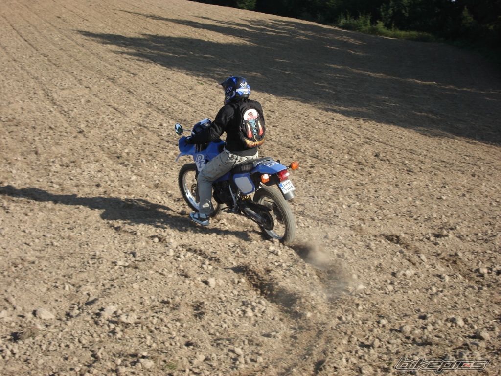 Photo 1402936