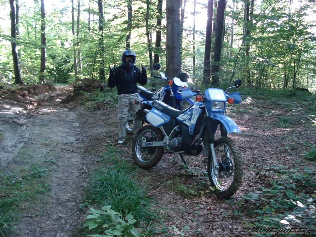 Photo 1402941