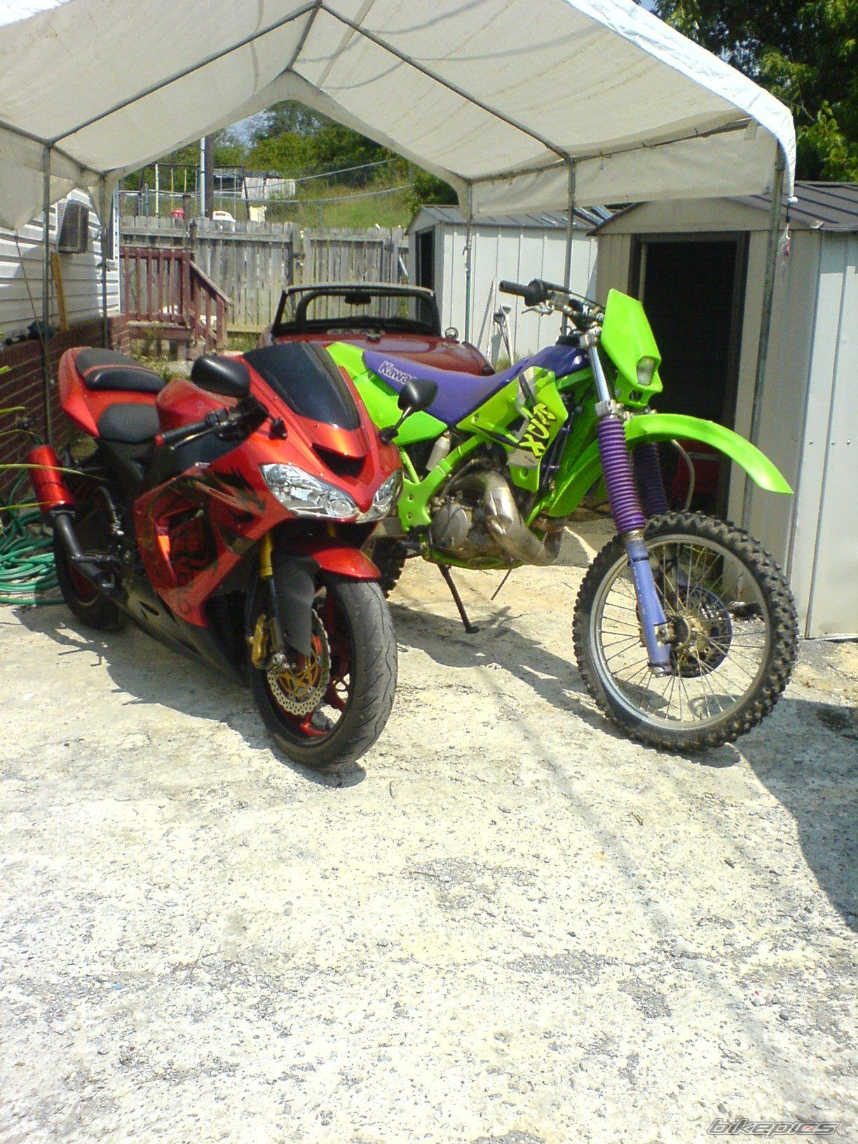 Photo 1402957
