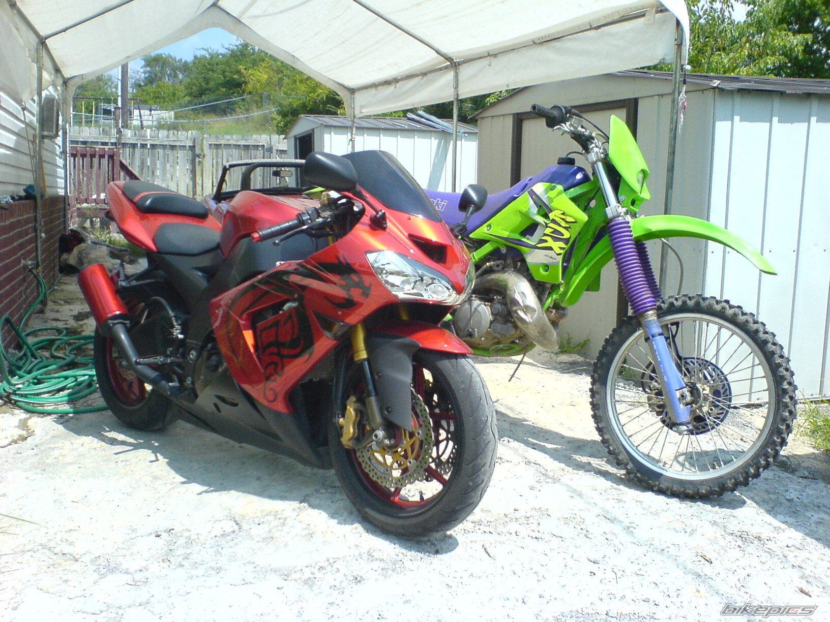Photo 1402958