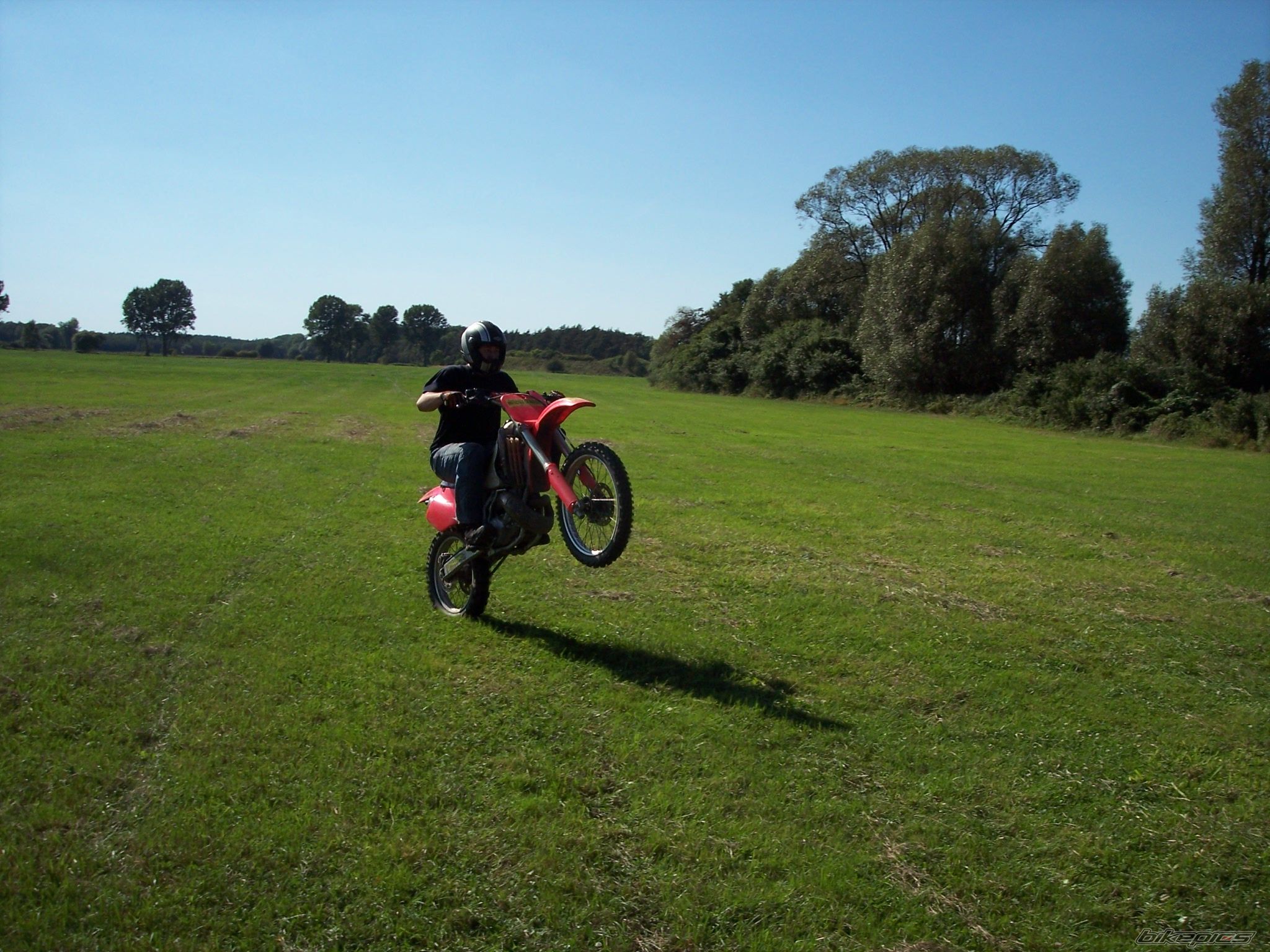 Photo 1402959