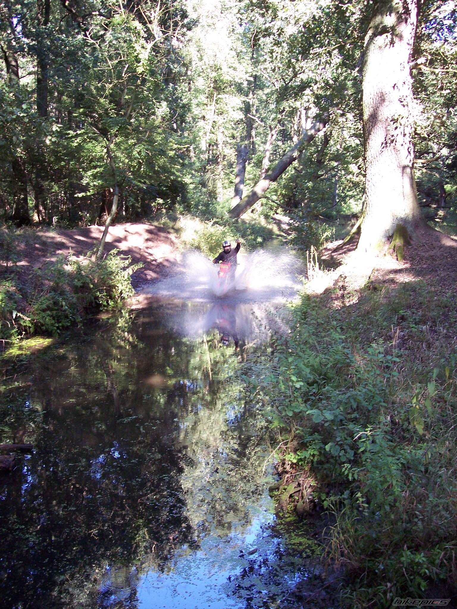 Photo 1402961