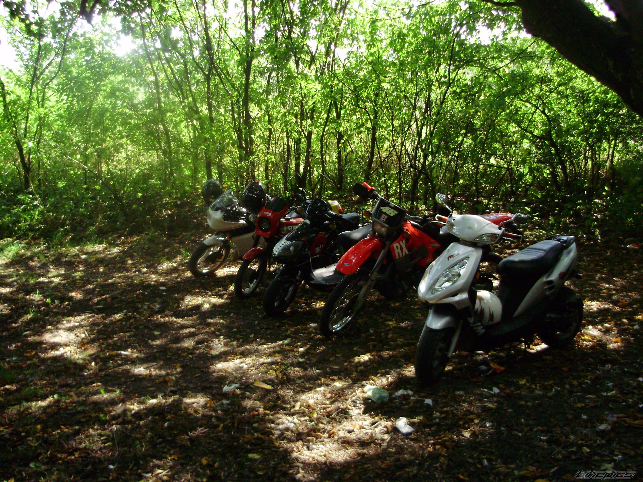 Bike Photo 1402971
