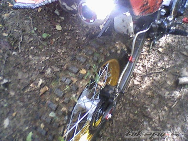 Photo 1403005